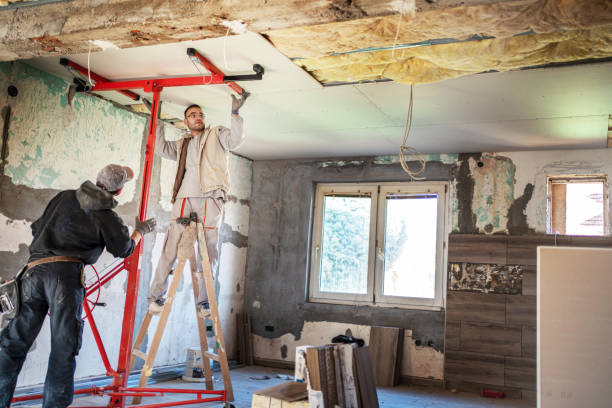 Best Cellulose Insulation in Estero, FL